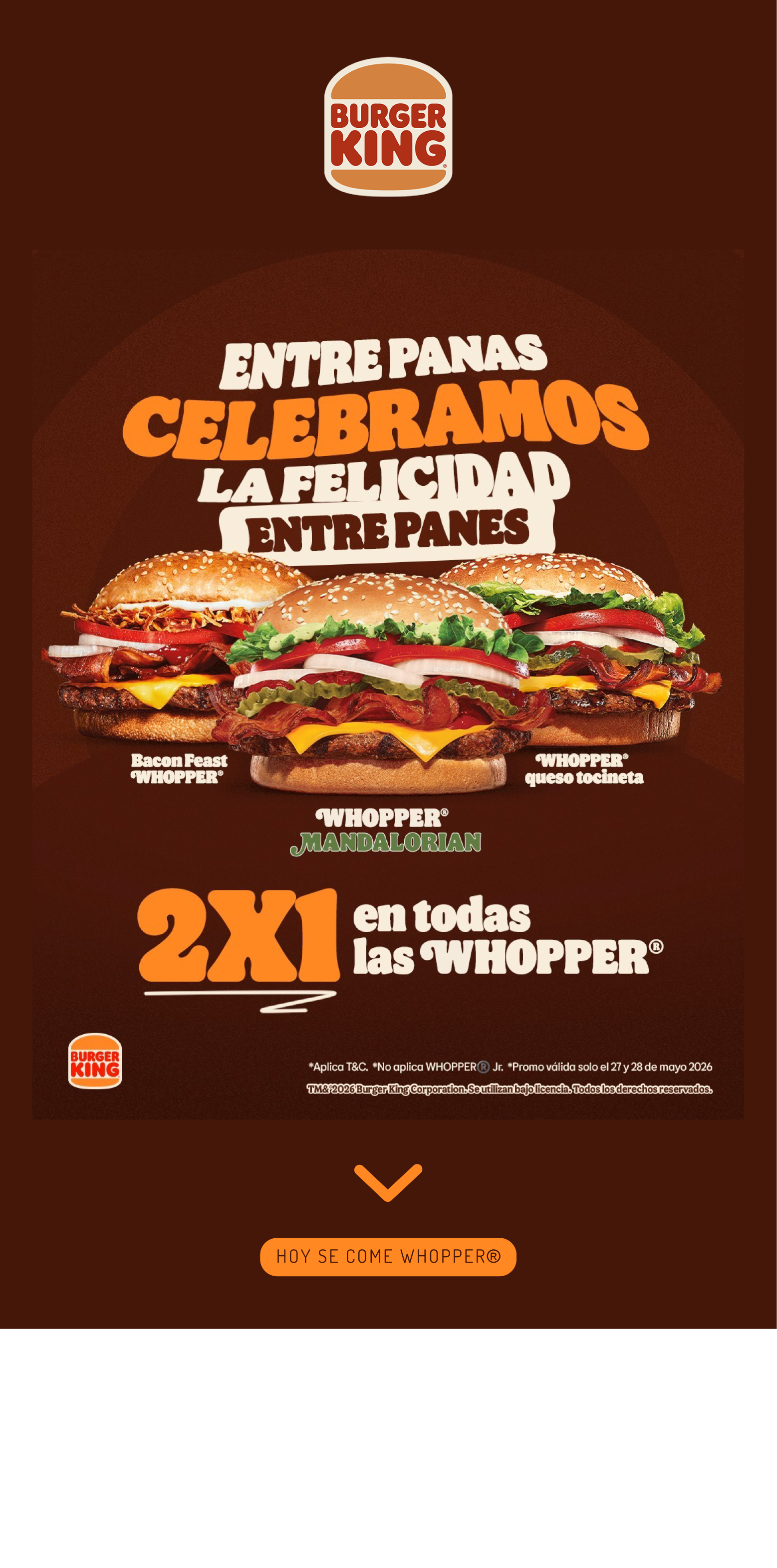 Campaña Email MKT – ejemplo 4
